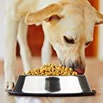 Comedero de acero inoxidable con base de goma - Silycon Pet Colombia