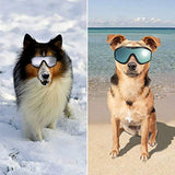 Gafas de sol para perros medianos y grandes protec rayos UV - Silycon Pet Colombia