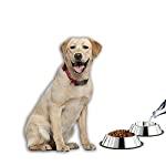 Comedero de acero inoxidable con base de goma - Silycon Pet Colombia