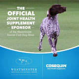 Nutramax Cosequin - Suplemento de salud articular para gatos, con glucosamina, condroitina y omega-3, 60 masticables suaves