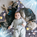 Tapete Frio para Perros