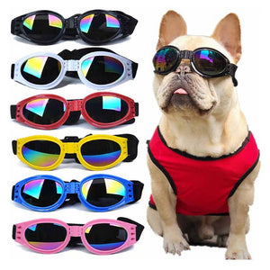 Gafas de moto ajustable para perro