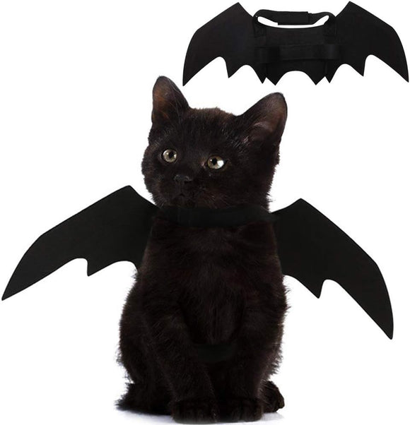 Alas de murciélago de gato para decoración de fiesta de Halloween