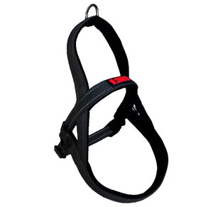 KONG ARNES PARA PERRO NORWEGIAN