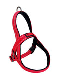 KONG ARNES PARA PERRO NORWEGIAN