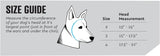 Ear Pro | Protección auditiva y auditiva para perros Rex Specs (02, negro)