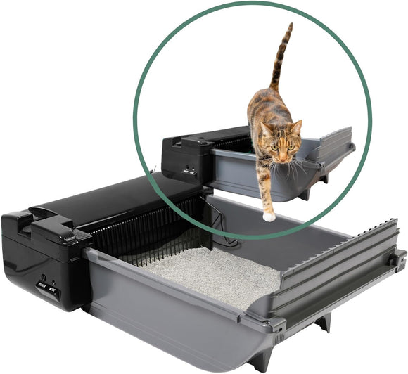 Pet Zone - Caja de arena semiautomática para gatos, autolimpiable, con bolsas y filtro de carbono para hasta dos gatos de 6 a 16 libras