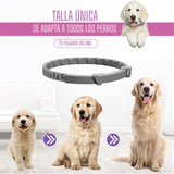 Collar Relajante Para  Perros Feromonas