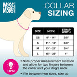 MAX & MOLLY ORIGINAL CHERRY BLOOM COLLAR PERRO