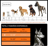 Orejeras para perros para protección contra el ruido, orejeras cómodas con cancelación de ruido para perros