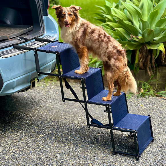 Rampa para perros para automóvil, perros pequeños, medianos y grandes, escalones ligeros para perros para automóviles y SUV