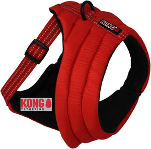 KONG ARNES COMFORT