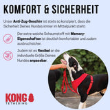 KONG ARNES COMFORT