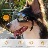 Gafas de sol para perros medianos y grandes protec rayos UV