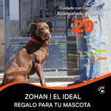 Orejeras para perros para protección contra el ruido, orejeras cómodas con cancelación de ruido para perros