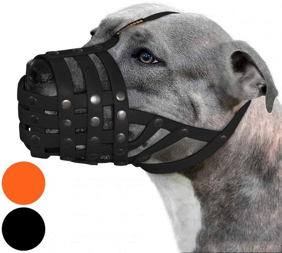 Bozal para perros Pitbull - Silycon Pet Colombia