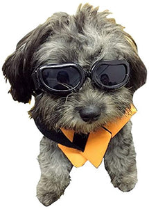 Gafas para perros de sol para perros pequeñas protección UV - Silycon Pet Colombia