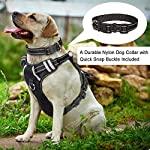 Arnéses para perros sin tirar, Arneses para mascotas con collar - Silycon Pet Colombia