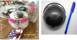 Set de Casco y Gafas para Perro - Silycon Pet Colombia