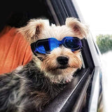 Gafas de sol para perros pequeñas protección UV Banda Ajust. - Silycon Pet Colombia