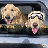 Gafas de sol para perro grande
