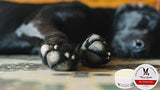 Warren London - Bálsamo Para Patas para perros con vitamina E