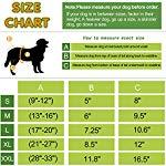 Pañales lavables para perro (3 unidades) - Silycon Pet Colombia