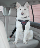 CLIX - Cinturón de Seguridad para Perro - Silycon Pet Colombia