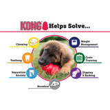 KONG Classic Dog Toy, Grande, Rojo - Ricardo Alejand Torres Rodrigue - AMPI-AN38458CO
