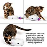 Juguete interactivo para gatos con pluma giratoria - Silycon Pet Colombia