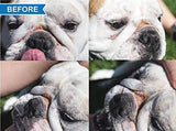 Pasta antiarrugas Squishface para Perro Bulldog Frances - Silycon Pet Colombia
