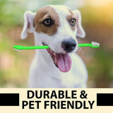 Juego de pasta de dientes y cepillo de dientes para perros - Silycon Pet Colombia