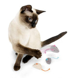 SmartyKat Catnip - Juguetes para gatos - Silycon Pet Colombia