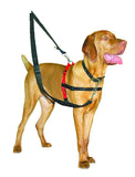 Arnés para perros de entrenamiento HALTI - Duradero y ajustable - Silycon Pet Colombia