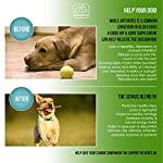 Suplemento de caderas y articulaciones para perros. - Silycon Pet Colombia
