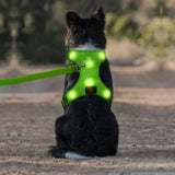 Arnéses para perros LED recargable por USB - Silycon Pet Colombia