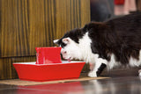 PetSafe Drinkwell Pagoda Fuente de agua de cerámica para perros y gatos, Rojo, 70 oz. - Silycon Pet Colombia