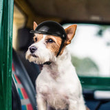 Casco para Perro de Seguridad Acolchado - Silycon Pet Colombia