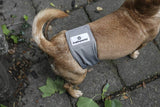 Pañales Lavables para Cachorros 3Pack - Silycon Pet Colombia