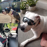 Gafas de sol para perros con correa ajustable para viajes, para perros, antiempañante
