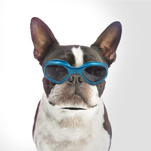 Gafas de sol para perros protectoras contra rayos UV - Silycon Pet Colombia