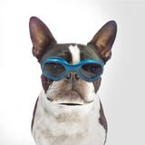 Gafas de sol para perros protectoras contra rayos UV - Silycon Pet Colombia