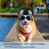 Set de Casco y Gafas Para Perros Cachorros