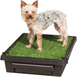 PetSafe baño para mascotas portable., Verde