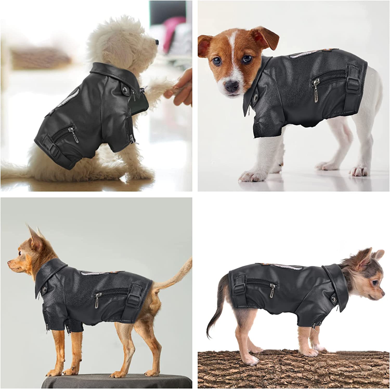 Capa Abrigo Perro Impermeable Reversible, Ropa Mascota | Meses Sin