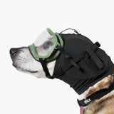 Ear Pro | Protección auditiva y auditiva para perros Rex Specs (02, negro)