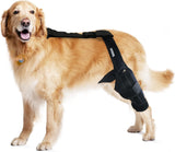 Rodillera para perro para apoyo con lesiones de ligamento cruzado, dolor articular y dolor muscular
