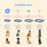 Pitpet Cama grande para perros – Espuma ortopédica, terciopelo de felpa, impermeable, fácil cuidado, apta para perros
