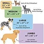 Cama para perro terapéutica para mascotas - Silycon Pet Colombia