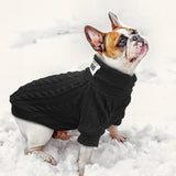 Suéter de punto Invierno Pet Puppy Polo - Ricardo Alejand Torres Rodrigue - AMPI-AN38458CO